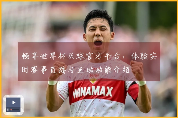 畅享世界杯买球官方平台,体验实时赛事直播与互动功能介绍