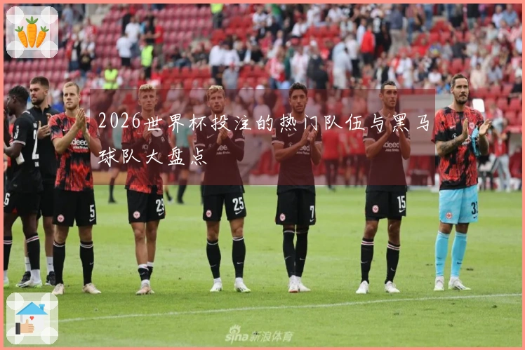 2026世界杯投注的热门队伍与黑马球队大盘点