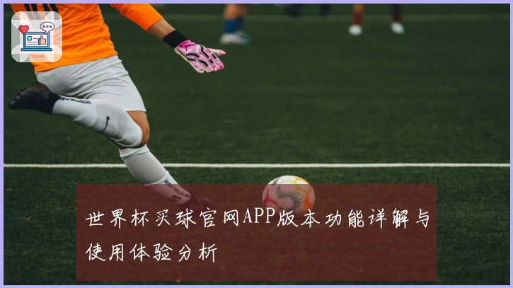 世界杯买球官网APP版本功能详解与使用体验分析