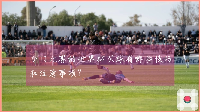 冷门比赛的世界杯买球有哪些技巧和注意事项？