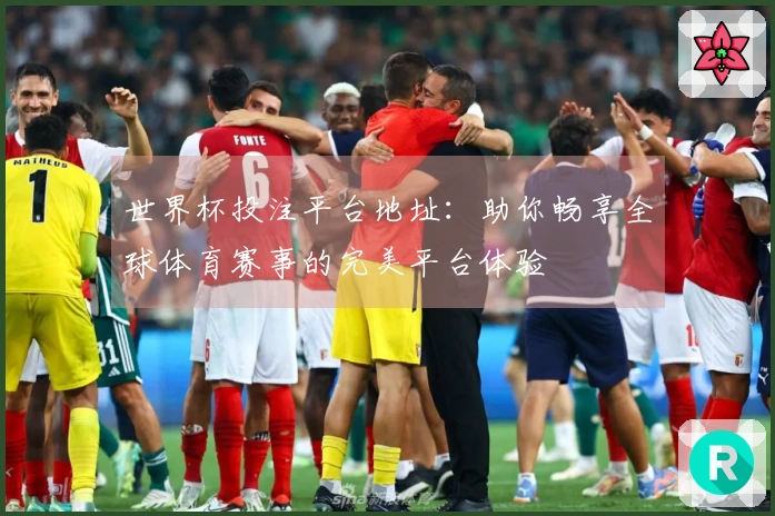 世界杯投注平台地址：助你畅享全球体育赛事的完美平台体验