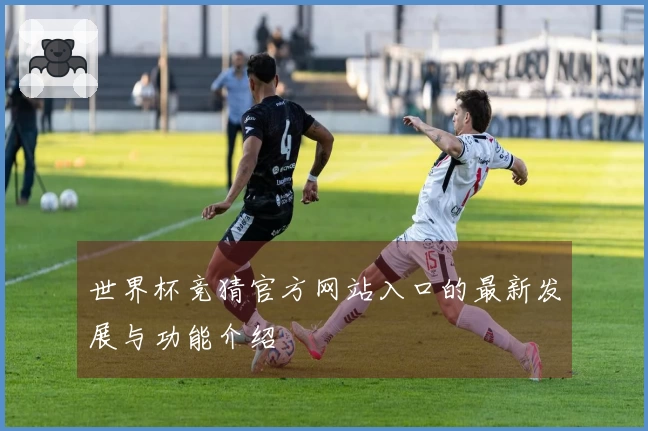 世界杯竞猜官方网站入口的最新发展与功能介绍
