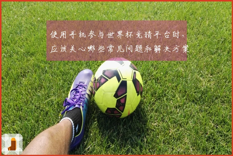 使用手机参与世界杯竞猜平台时，应该关心哪些常见问题和解决方案？
