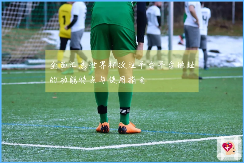 全面汇总世界杯投注平台平台地址的功能特点与使用指南
