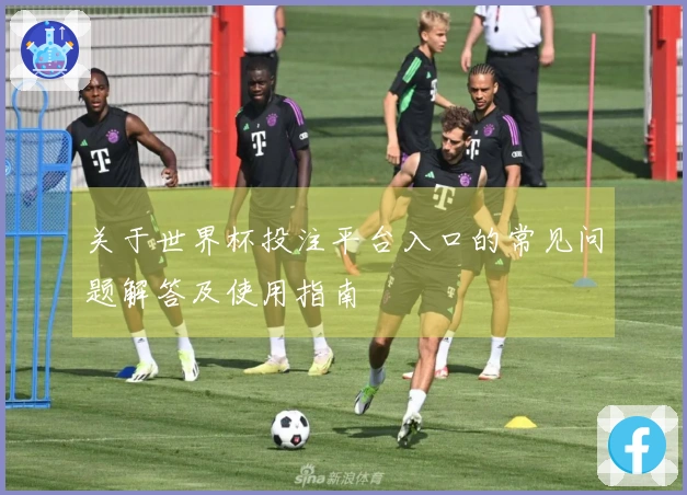 关于世界杯投注平台入口的常见问题解答及使用指南