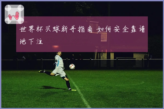 世界杯买球新手指南 如何安全靠谱地下注