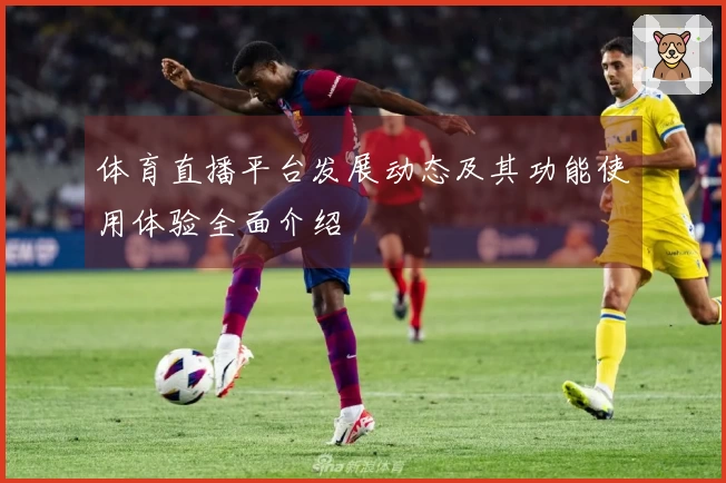 体育直播平台发展动态及其功能使用体验全面介绍