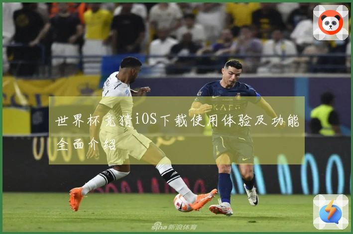 世界杯竞猜iOS下载使用体验及功能全面介绍