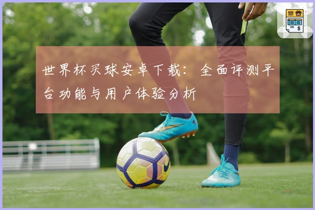 世界杯买球安卓下载：全面评测平台功能与用户体验分析