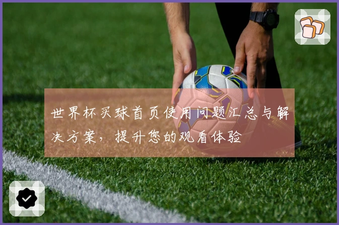 世界杯买球首页使用问题汇总与解决方案，提升您的观看体验