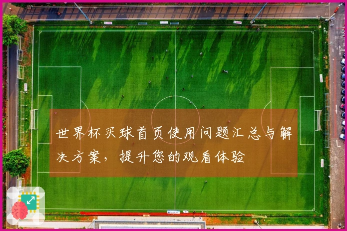 世界杯买球首页使用问题汇总与解决方案，提升您的观看体验