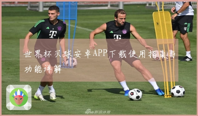 世界杯买球安卓APP下载使用指南与功能详解