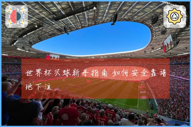 世界杯买球新手指南 如何安全靠谱地下注