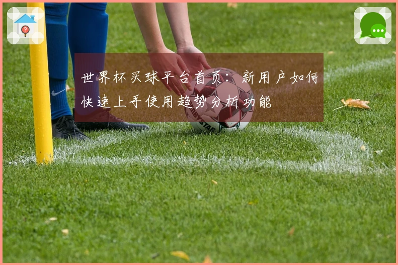 世界杯买球平台首页：新用户如何快速上手使用趋势分析功能